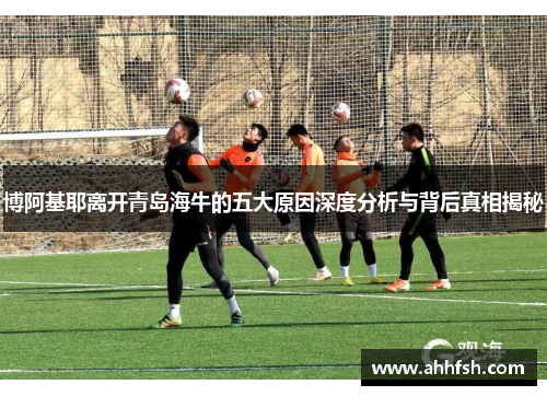 博阿基耶离开青岛海牛的五大原因深度分析与背后真相揭秘